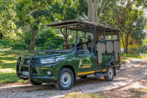 Open Vehicle Safari | Bushbaby Valley Lodge