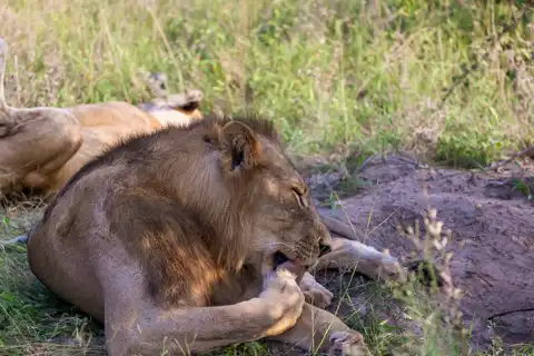 © The Guys - Professional Photographers & Designers - www.theguys.co.za